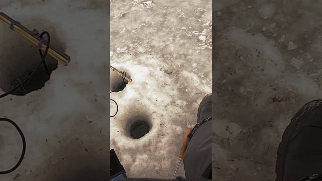 Ручейника берёт не активная рыба, вот это да смотреть онлайн