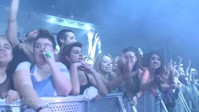 Major Lazer - Pon De Floor (Track 21 of 26) | Moshcam смотреть онлайн