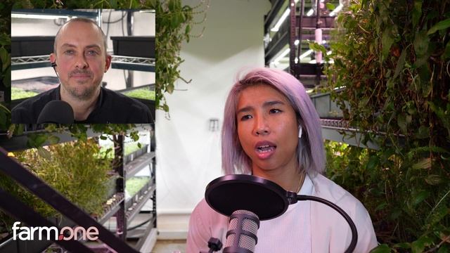 Raw Plant-Based NYC Entrepreneur Watt from Rawsome Treats: Full Interview on The Farm.One Podcast смотреть онлайн