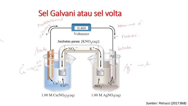 Perbedaan sel galvani dan sel daniel смотреть онлайн