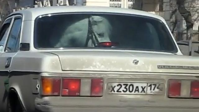 ZA-Auto.ru - Лошадь в автомобиле смотреть онлайн