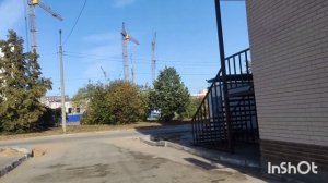 Милые котики/Размышления/Прогулка