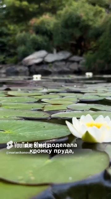 Беседа с ЭКОПЛАНТ смотреть онлайн