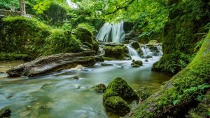 Relaxing Music | 30 min | Deep Sleep Music | Calm& positive Music |Stress Relief &Meditation Music9