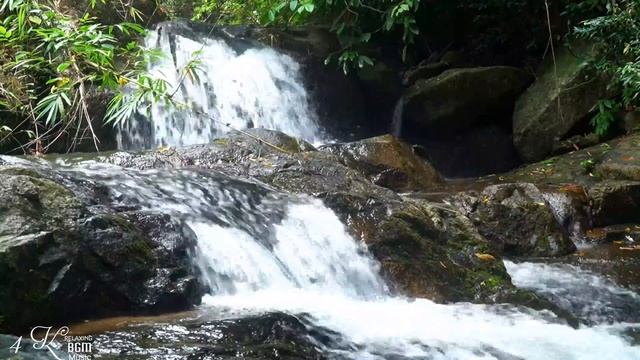 GOOD MORNING MEDITATION MUSIC | Remove All Negative Energy | Soft Healing Sounds | Yoga, Relaxation смотреть онлайн
