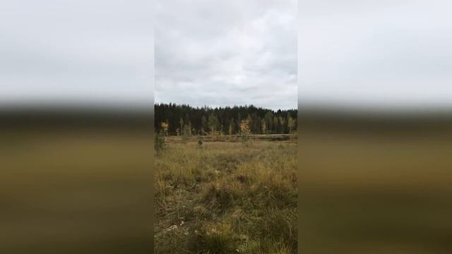 Бородина, Маруся и Тея едят сосиски смотреть онлайн