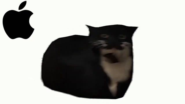 Maxwell Cat, But Famous Ringtones, Meme