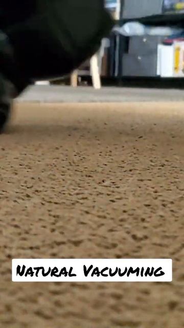 Natural Vacuuming with Shark Vacuum смотреть онлайн