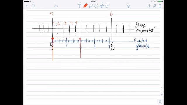 A-Level Biology: Calibration of Eyepiece Graticule with stage micrometer смотреть онлайн