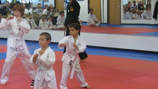 Santi Taekwondo test for yellow belt смотреть онлайн