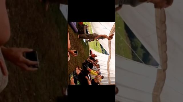 Хаотика Голтиса смотреть онлайн
