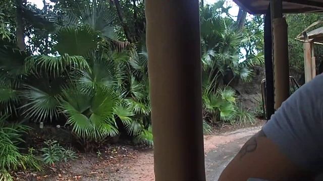 Orlando Animal Kingdom Kilimanjaro Safaris® Expedition (2) 2018 смотреть онлайн