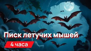 Звуки для соседей - писк летучих мышей 4 часа