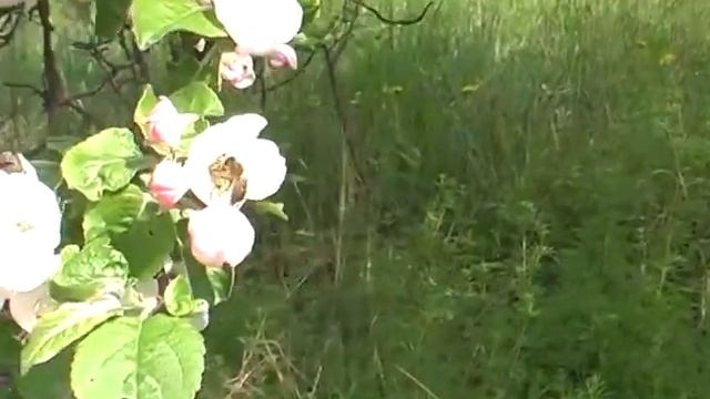 Назад в детство смотреть онлайн