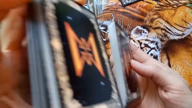 Астро рунический прогноз для знака Водолей на 2022 год смотреть онлайн