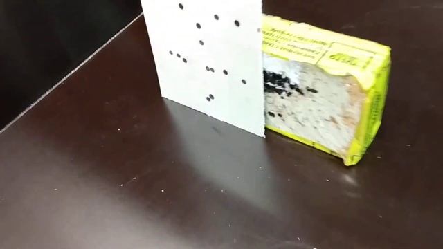 RECI W2 -5 смотреть онлайн