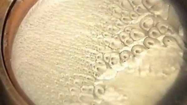 Ячейки Бенара