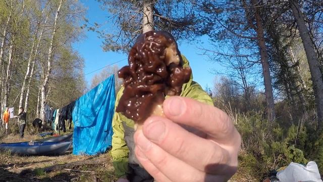 ПИСТА смотреть онлайн