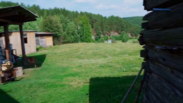 КАК ПОДРОСЛИ НАШИ УРАЛЬСКИЕ АРБУЗЫ | ИСКУПАЛИСЬ В РЕКЕ | СПАСАЕМСЯ ОТ ЖАРЫ