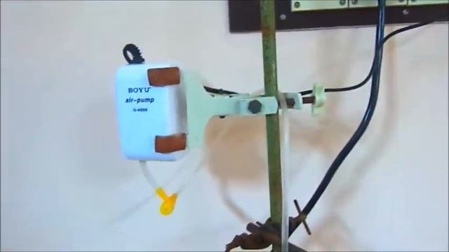 Air lift / fluidized bed bioreactor for waste water treatment using marine sponges as adsorbent смотреть онлайн