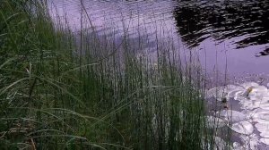 О таких рыбалках молчат и не показывают