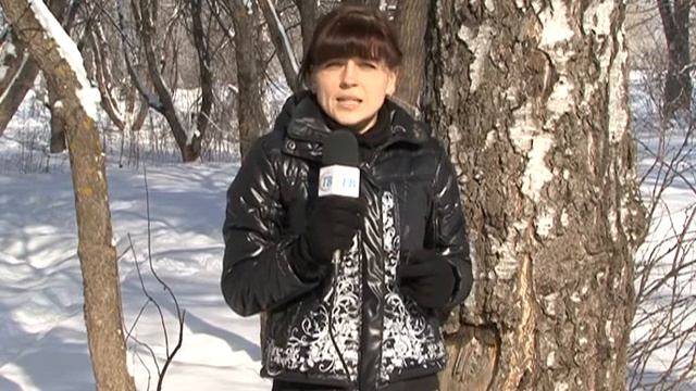 Погода на 7 марта смотреть онлайн