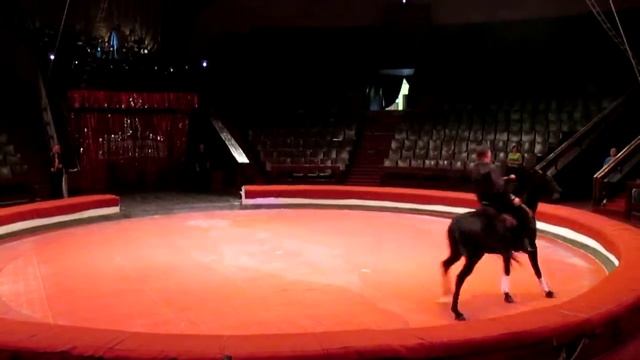 Цирковой тандем двух артистов смотреть онлайн