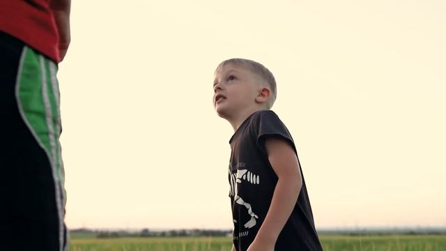 Атмосферное видео в закатном поле смотреть онлайн