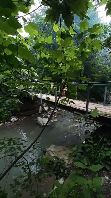 #shorts #relax #nature смотреть онлайн