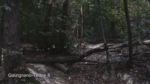 Galzignano Terme 8 смотреть онлайн