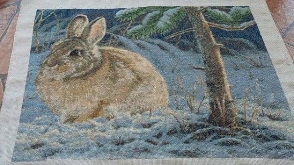 ФИНИШ ЗАЯЦ В ЗИМНЕМ ЛЕСУ ИЮНЬ 2023