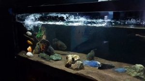 напор внешника sunsun hw-5000 спустя неделю в работе!