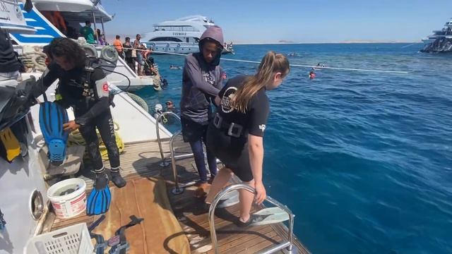 ДАЙВИНГ В НАЦИОНАЛЬНОМ ПАРКЕ ЕГИПТА РАС-МОХАММЕД  МОРЕ СОЛНЦЕ ЯХТЫ ПОДВОДНЫЕ КРАСОТЫ КРАСНОГО МОРЯ