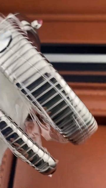 Женские кварцевые часы со Швейцарским механизмом смотреть онлайн