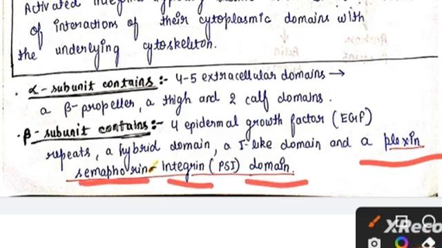 Cell Adhesion Molecules Part 2||B.Sc first semester notes|| #pgt #msc #bsc #gic смотреть онлайн