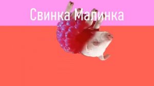 Мышка Сосиска, Крыска Ириска, Змейка Сарделька, Кот Бутерброд, Кошка Окрошка, Мышка Покрышка