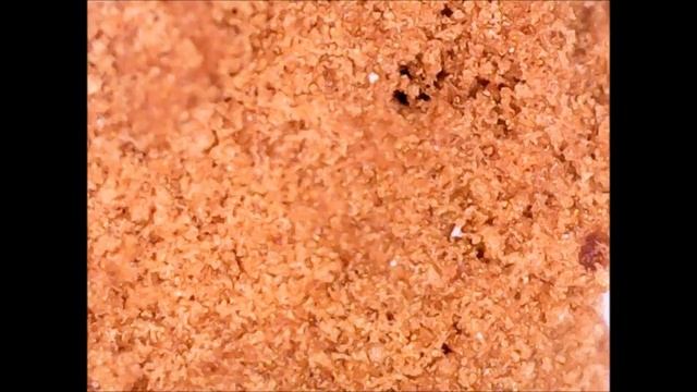 Under the microscope 2 смотреть онлайн