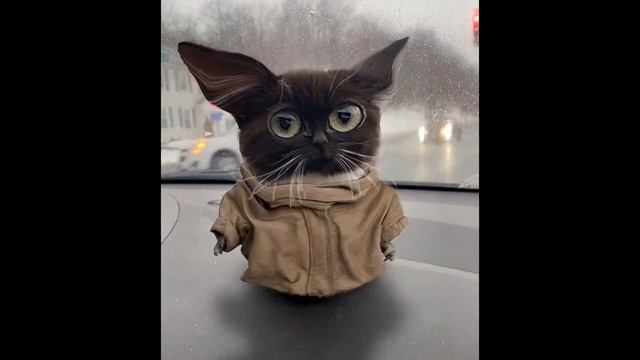 Чмоня смотреть онлайн