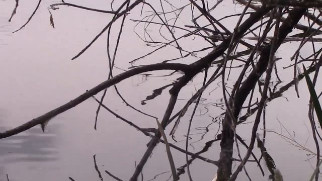 Это может быть гораздо серьёзнее смотреть онлайн
