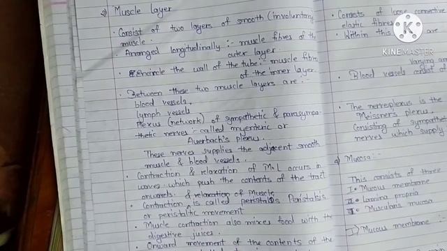 digestive system смотреть онлайн