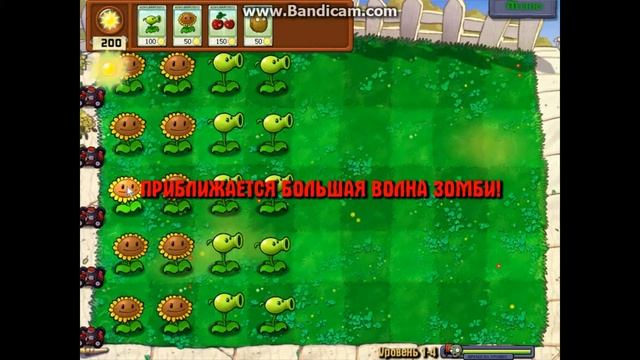 PLANTS vs ZOMBIES: 2 часть. смотреть онлайн