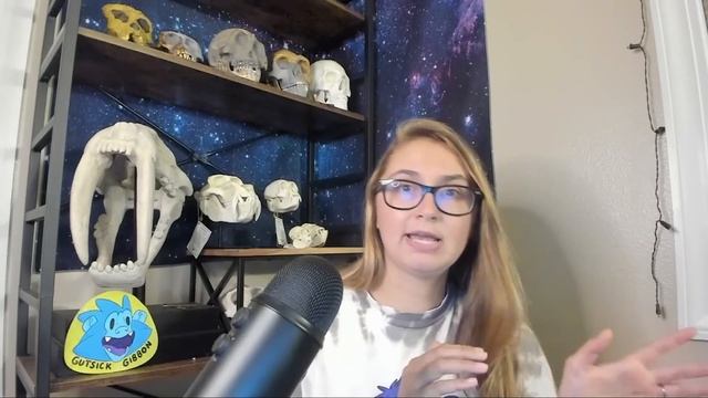Standing for Truth is not Worth Your Time смотреть онлайн