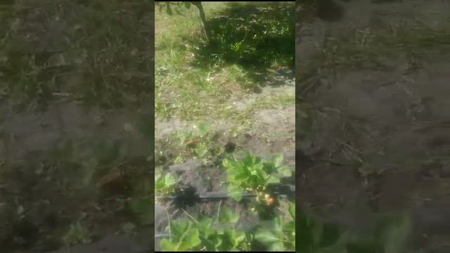 1 марта 2024 г. (1) смотреть онлайн