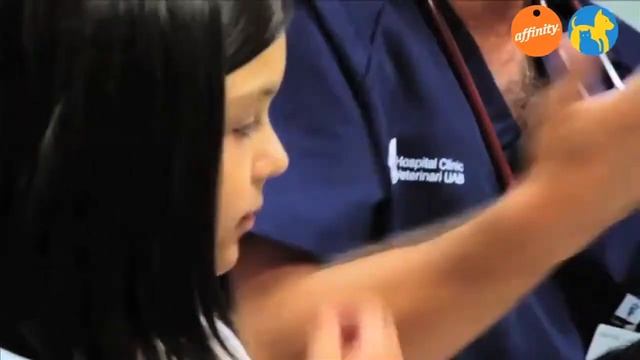 WPS El veterinario responde Parásitos internos y externos смотреть онлайн