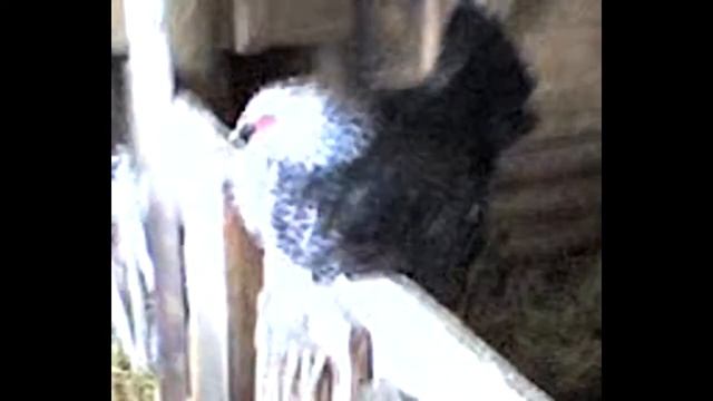 2009 год ВОСПОМИНАНИЯ. Такое было, ну а сейчас ещё лучше... смотреть онлайн