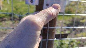 Установка и натяжка сварной сетки на забор