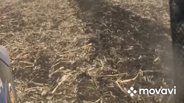 Ловол 504 дискування під посів ярого ячменю АГД 1.8 смотреть онлайн