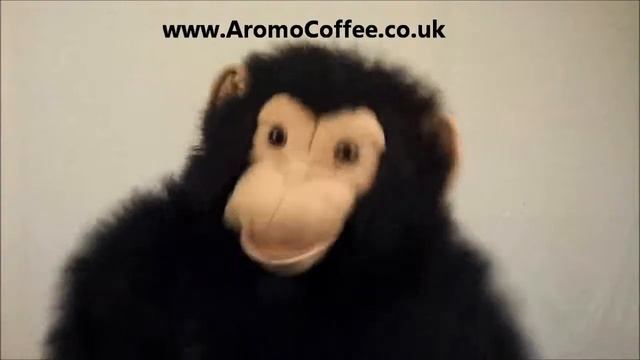 Free ESE coffee pods from Aromo the monkey смотреть онлайн