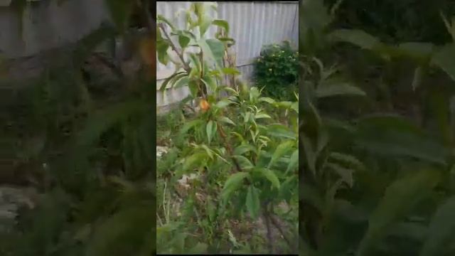 29 февраля 2024 г. (6) смотреть онлайн