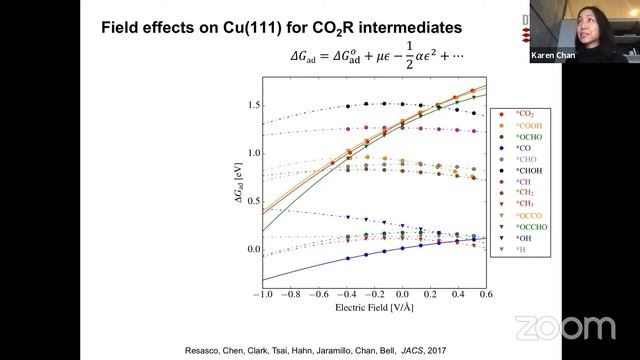 Karen Chan - Surface charge density as descriptor of the driving force for electrochemical reaction смотреть онлайн